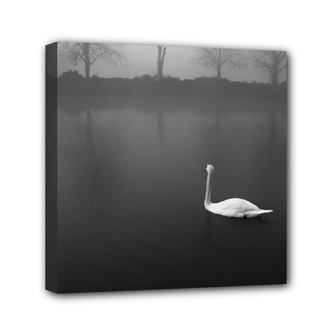 Swan 6  X 6  Framed Canvas Print by artposters