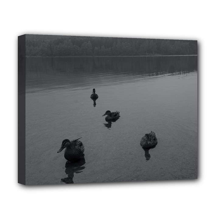 ducks Deluxe Canvas 20  x 16  (Stretched)