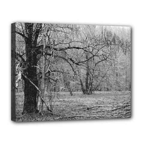 Black And White Forest 11  X 14  Framed Canvas Print by Elanga