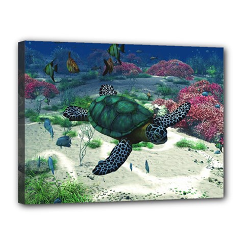 Sea Turtle Canvas 16  X 12  (stretched) by gatterwe