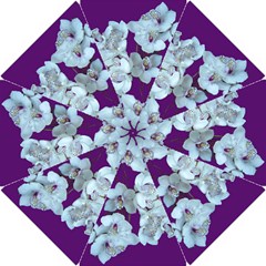 White And Purple Orchids Bridesmaids Umbrella  by rainorshine