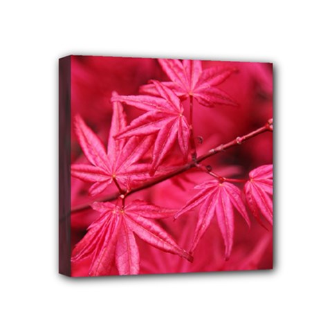 Red Autumn Mini Canvas 4  X 4  (framed) by ADIStyle