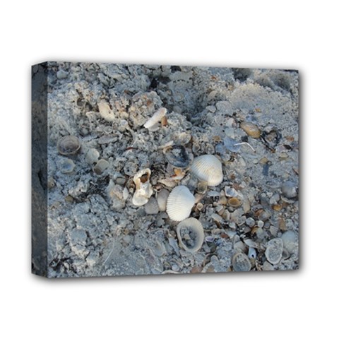 Sea Shells On The Shore Deluxe Canvas 14  X 11  (framed) by createdbylk