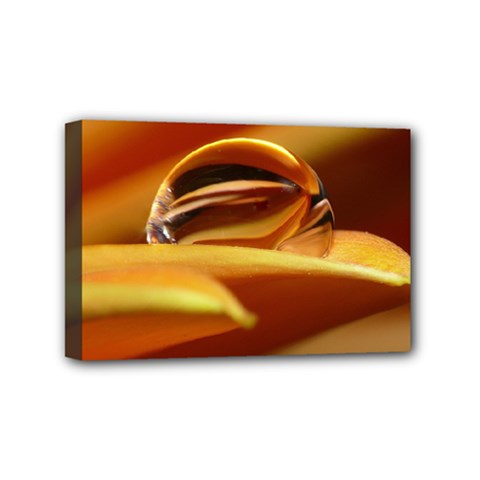 Waterdrop Mini Canvas 6  X 4  (framed) by Siebenhuehner