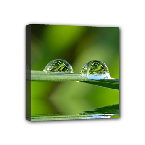 Waterdrops Mini Canvas 4  X 4  (framed) by Siebenhuehner