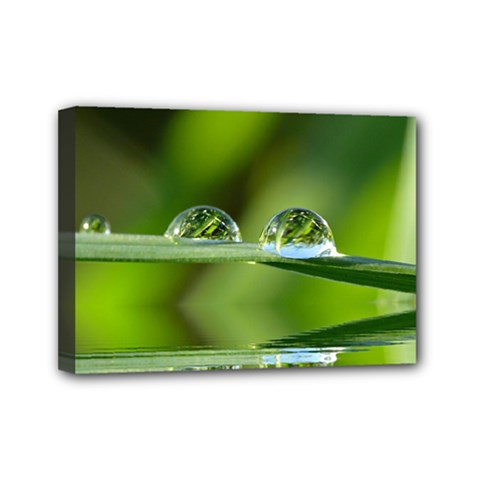 Waterdrops Mini Canvas 7  X 5  (framed) by Siebenhuehner