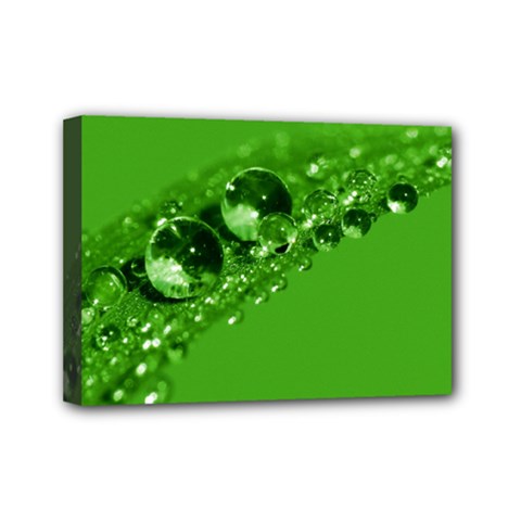 Green Drops Mini Canvas 7  X 5  (framed) by Siebenhuehner