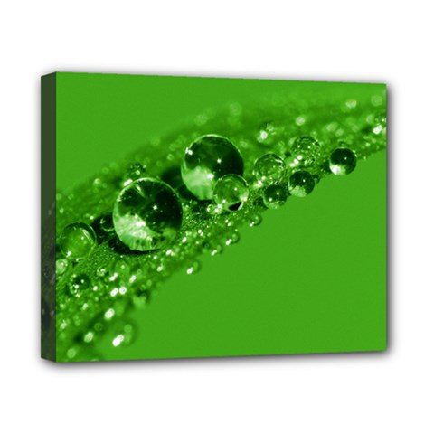 Green Drops Canvas 10  X 8  (framed) by Siebenhuehner