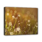 Waterdrops Canvas 10  x 8  (Framed)