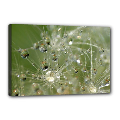 Dandelion Canvas 18  X 12  (framed) by Siebenhuehner