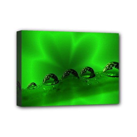 Drops Mini Canvas 7  X 5  (framed) by Siebenhuehner