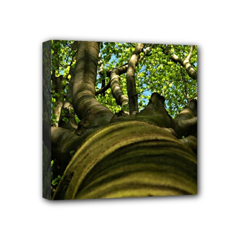 Tree Mini Canvas 4  X 4  (framed)