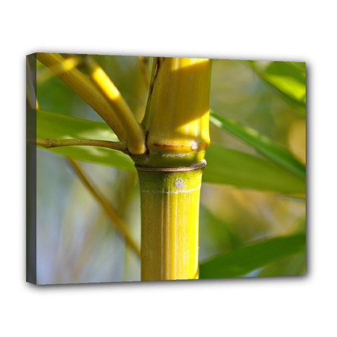 Bamboo Canvas 14  X 11  (framed) by Siebenhuehner