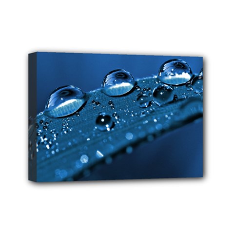 Drops Mini Canvas 7  X 5  (framed) by Siebenhuehner