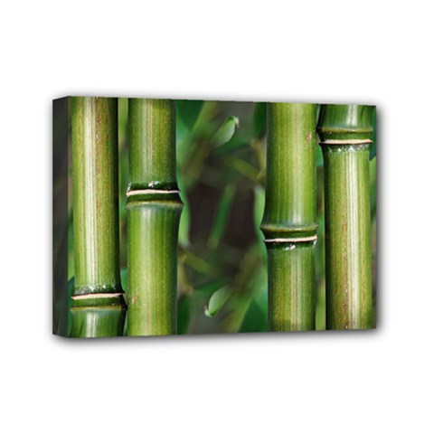 Bamboo Mini Canvas 7  X 5  (framed) by Siebenhuehner