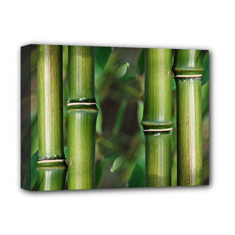 Bamboo Deluxe Canvas 16  X 12  (framed) 