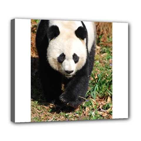 Giant Panda Deluxe Canvas 24  X 20  (framed) by AnimalLover