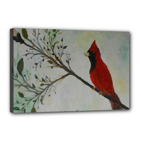 Sweet Red Cardinal Canvas 18  X 12  (framed) by rokinronda