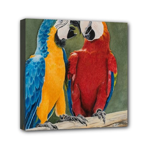 Feathered Friends Mini Canvas 6  X 6  (framed) by TonyaButcher