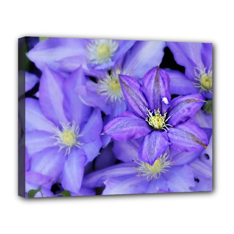 Purple Wildflowers For Fms Canvas 14  X 11  (framed) by FunWithFibro