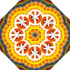 Psychedelic Peace Dove Mandala Hook Handle Umbrella (small) by StuffOrSomething