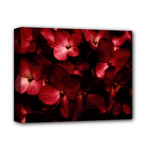 Red Flowers Bouquet In Black Background Photography Deluxe Canvas 14  X 11  (framed) by dflcprints