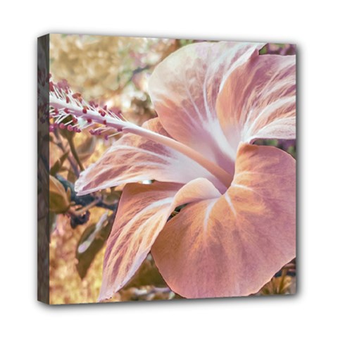 Fantasy Colors Hibiscus Flower Digital Photography Mini Canvas 8  X 8  (framed) by dflcprints