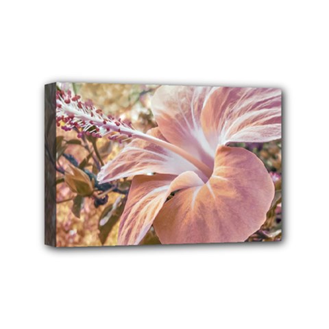 Fantasy Colors Hibiscus Flower Digital Photography Mini Canvas 6  X 4  (framed) by dflcprints