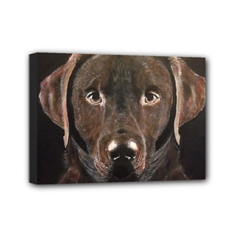 Chocolate Lab Mini Canvas 7  X 5  (framed) by LabsandRetrievers