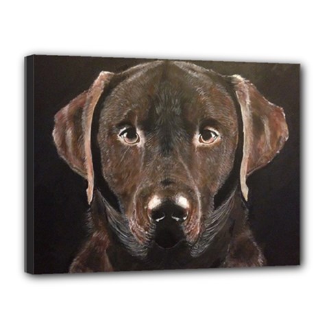 Chocolate Lab Canvas 16  X 12  (framed) by LabsandRetrievers