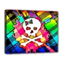 Rainbow Plaid Skull Canvas 14  x 11  (Framed) View1