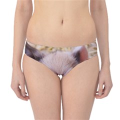 Sweet Piglet Hipster Bikini Bottoms by ImpressiveMoments