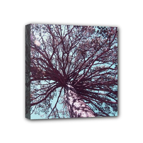Under Tree Paint Mini Canvas 4  X 4  by infloence