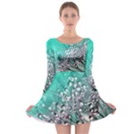 Dandelion 2015 0701 Long Sleeve Skater Dress