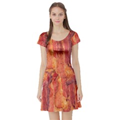 Bacon Short Sleeve Skater Dresses by trendistuff