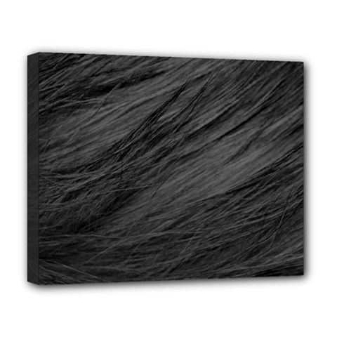 Long Haired Black Cat Fur Deluxe Canvas 20  X 16   by trendistuff