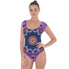 Purple Lotus Short Sleeve Leotard (ladies) by Zandiepants