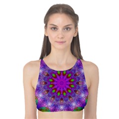 Rainbow At Dusk, Abstract Star Of Light Tank Bikini Top by DianeClancy