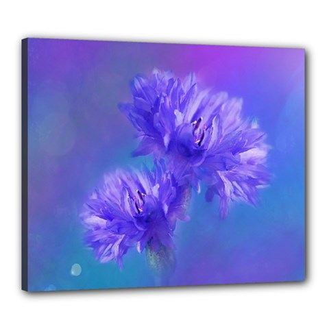 Flowers Cornflower Floral Chic Stylish Purple  Canvas 24  X 20  by yoursparklingshop