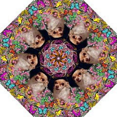 Chi Chi In Butterflies, Chihuahua Dog In Cute Hat Folding Umbrellas by DianeClancy