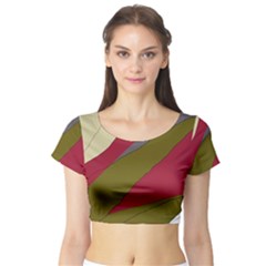 Decoratve Abstraction Short Sleeve Crop Top (tight Fit) by Valentinaart