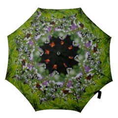 Wild Flowers Hook Handle Umbrellas (medium) by picsaspassion