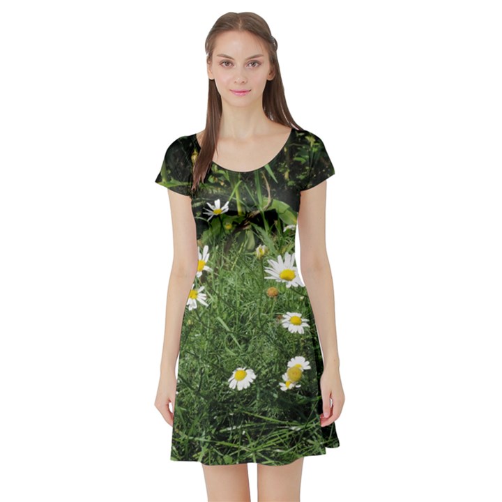 Wild Daisy summer Flowers Short Sleeve Skater Dress