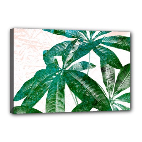 Pachira Leaves  Canvas 18  X 12  by DanaeStudio