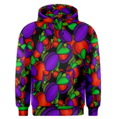 Plums And Peaches Men s Pullover Hoodie by Valentinaart