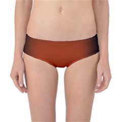 Brown Gradient Frame Classic Bikini Bottoms