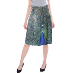 Peacock Four Spot Feather Bird Midi Beach Skirt by Nexatart