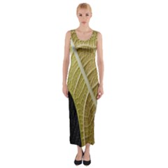 Yellow Leaf Fig Tree Texture Fitted Maxi Dress by Nexatart