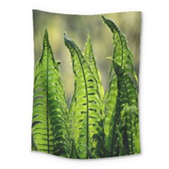 Fern Ferns Green Nature Foliage Medium Tapestry by Nexatart