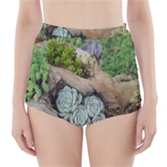 Plant Succulent Plants Flower Wood High-waisted Bikini Bottoms by Nexatart